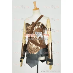 Batman V Superman: Dawn Of Justice Cosplay Diana Prince Costume -Cosplaynow Shop batman v superman dawn of justice cosplay diana prince costume wd061 1359 498