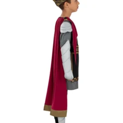 Deluxe King Arthur Costume For Boys -Cosplaynow Shop deluxe king arthur costume for boys 2