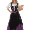 Medieval Tavern Maiden Adult Costume -Cosplaynow Shop medieval tavern maiden adult costume