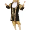 Mens Plus Size Medieval King Costume
