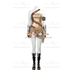 Wonder Woman Diana Prince Cosplay Costume